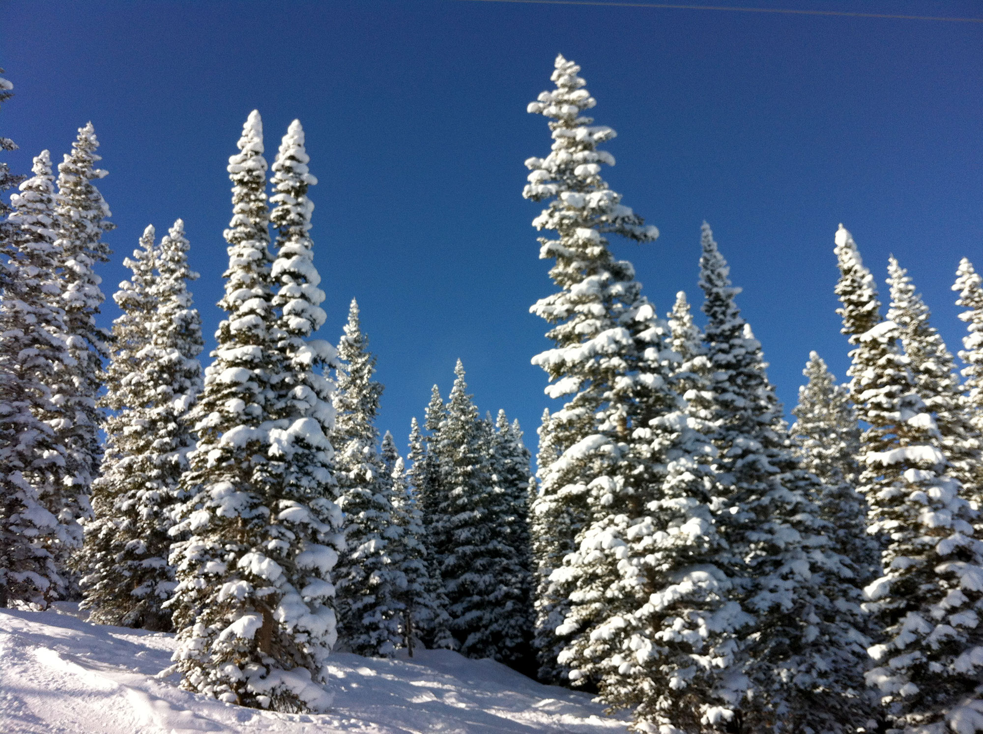 Blue Skies